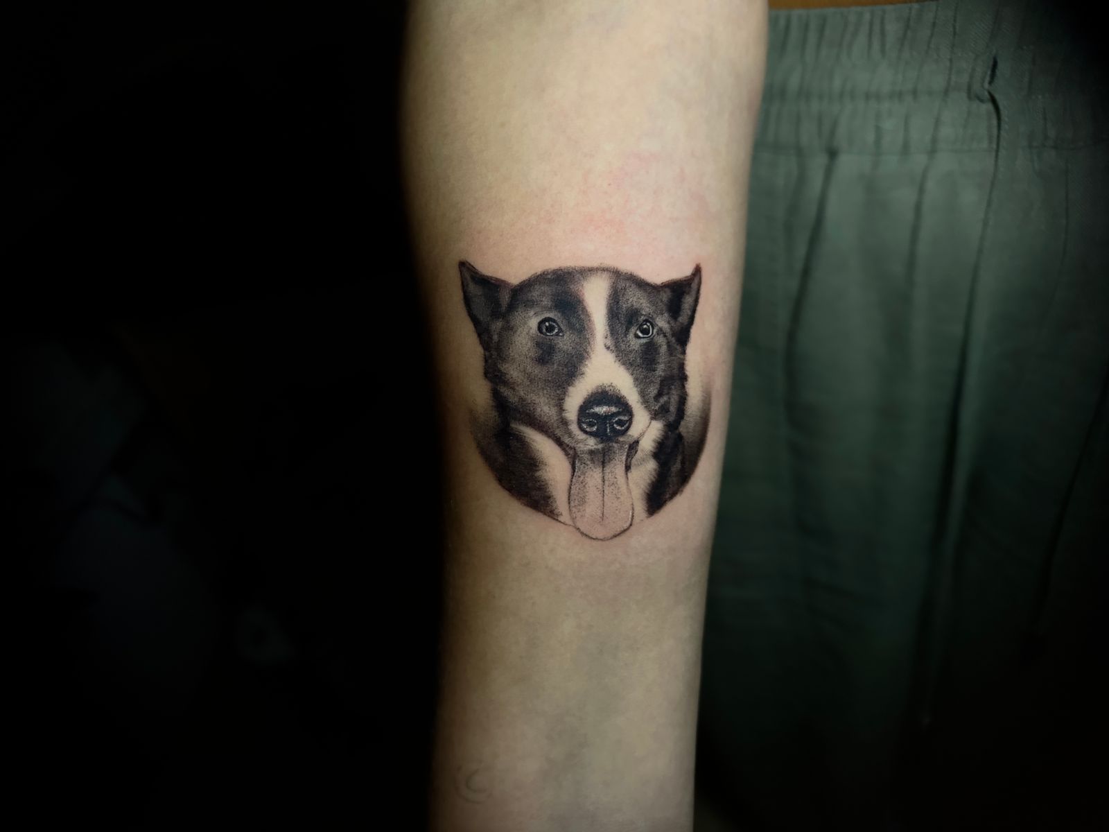 tattoo microrealista de un perro